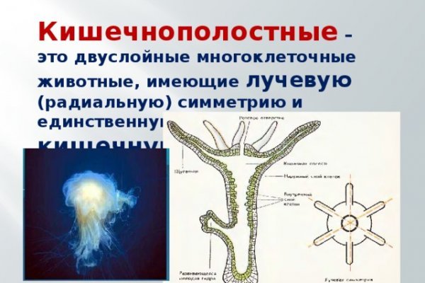 Зайти на кракен рабочее зеркало